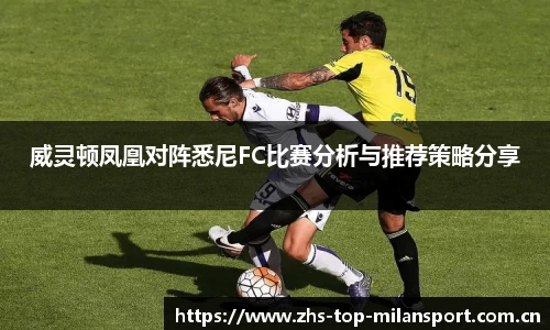 威灵顿凤凰对阵悉尼FC比赛分析与推荐策略分享